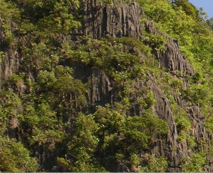 Cliff