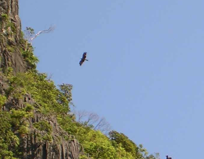 Flight